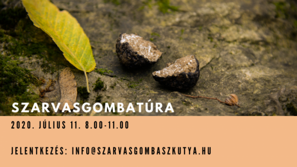 szarvasgombatura_jul11