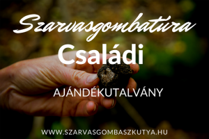 családi utalvány