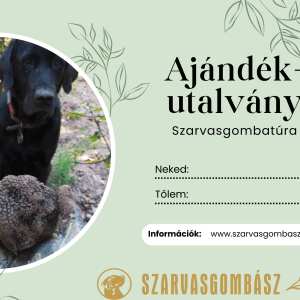 2025 Ajándékutalvány