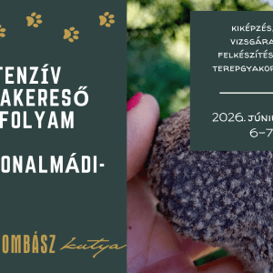 Intenzív Triflakereső Tanfolyam Balatonalmádi