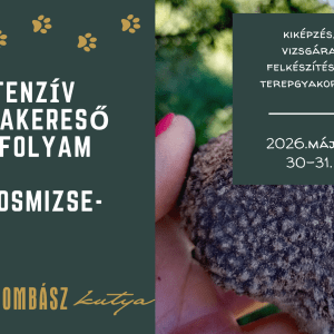 Intenzív Triflakereső tanfolyam Lajosmizse