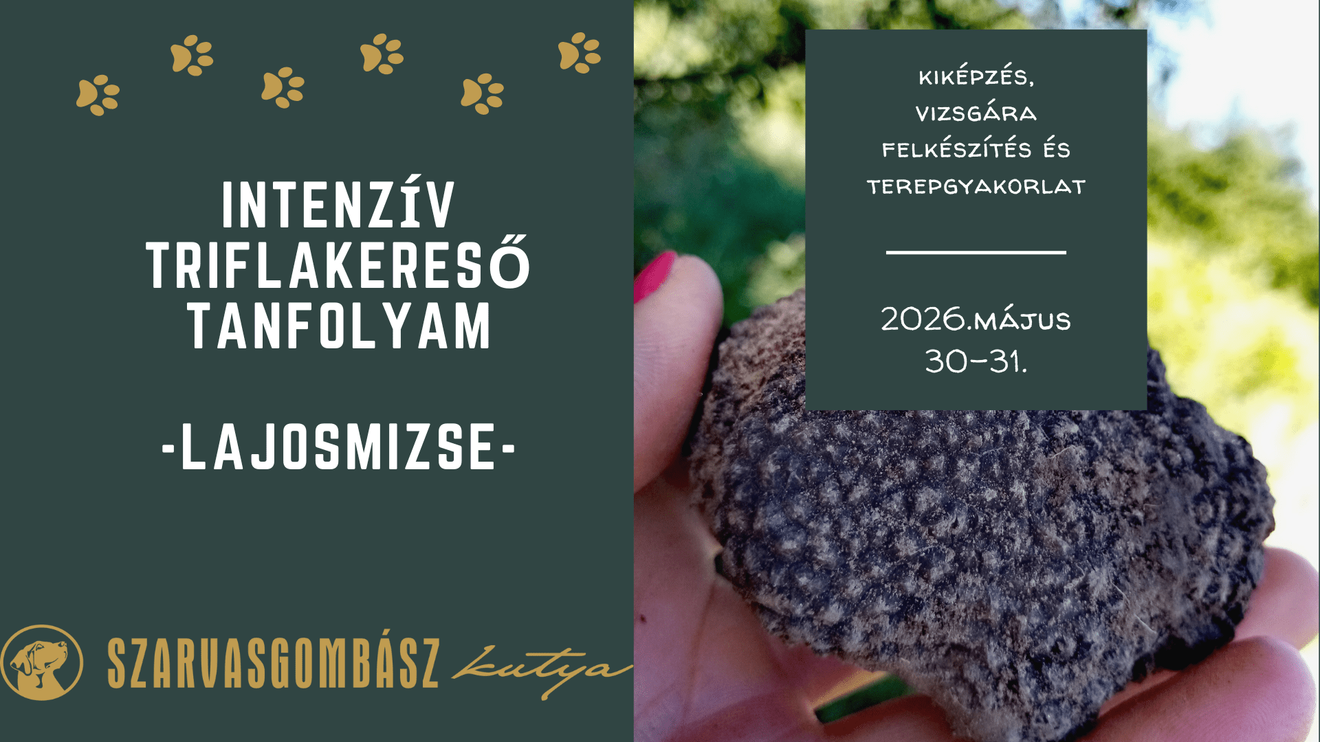 Intenzív Triflakereső tanfolyam Lajosmizse