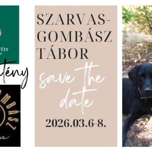 IV. Szarvasgombász tábor-Alsópetény