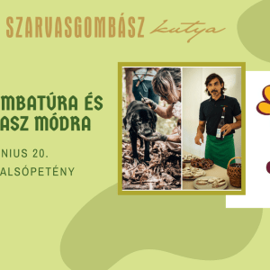 Szarvasgomba keresés 2026.06.20